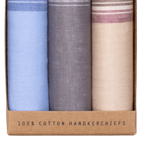 Zakdoeken heren - Beige - Blauw (2)