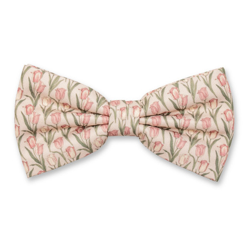 Tulpen Vlinderstrik  (1)