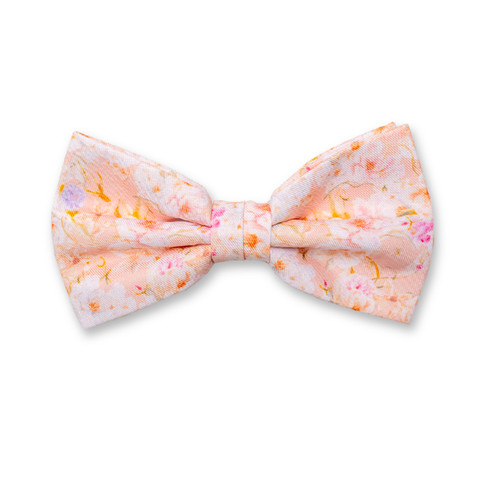 Perzikkleurige Vlinderstrik - Bloemen (1)