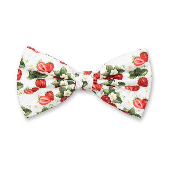 Aardbeien Vlinderstrik  (1)