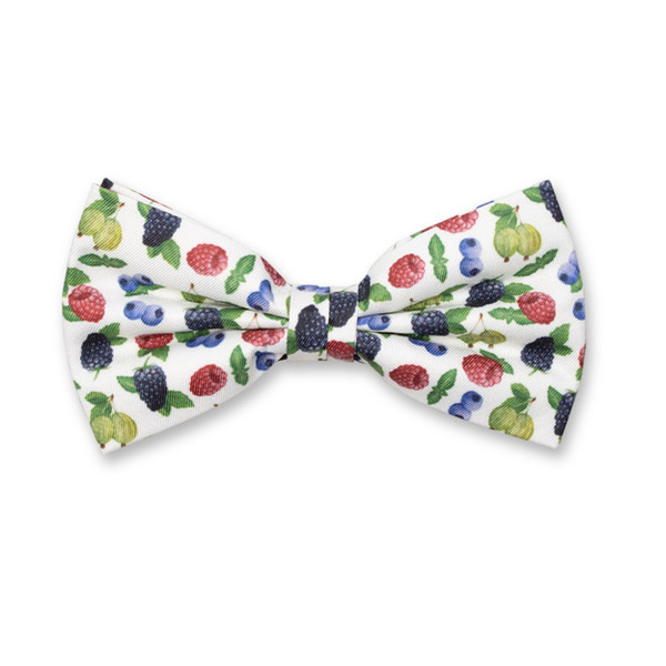 Bosvruchten Vlinderstrik  (1)