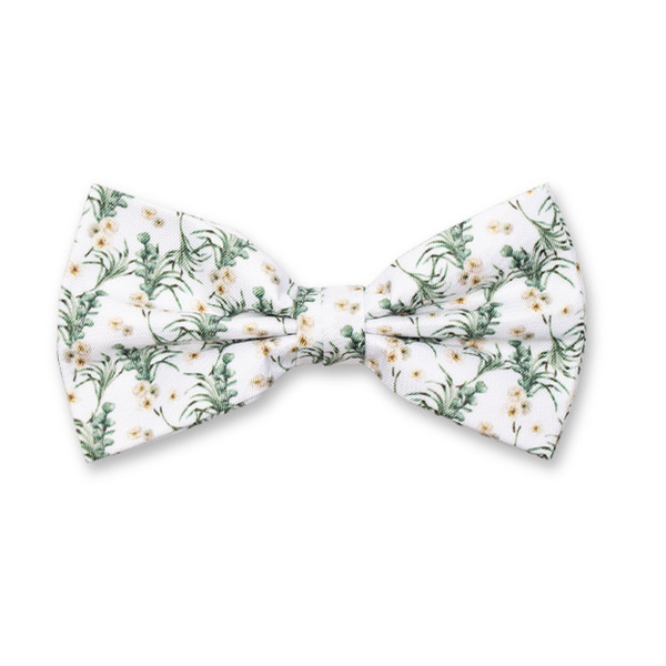 Bloemen Vlinderstrik - Eucalyptus (1)