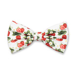 Aardbeien Vlinderstrik  - Thumbnail 1