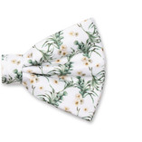 Bloemen Vlinderstrik - Eucalyptus - Thumbnail 2