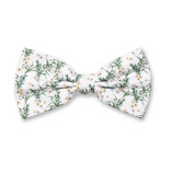 Bloemen Vlinderstrik - Eucalyptus - Thumbnail 1