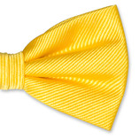 Vlinderstrik kanariegeel - Thumbnail 2